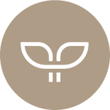 Posh Beauty Brand Salon